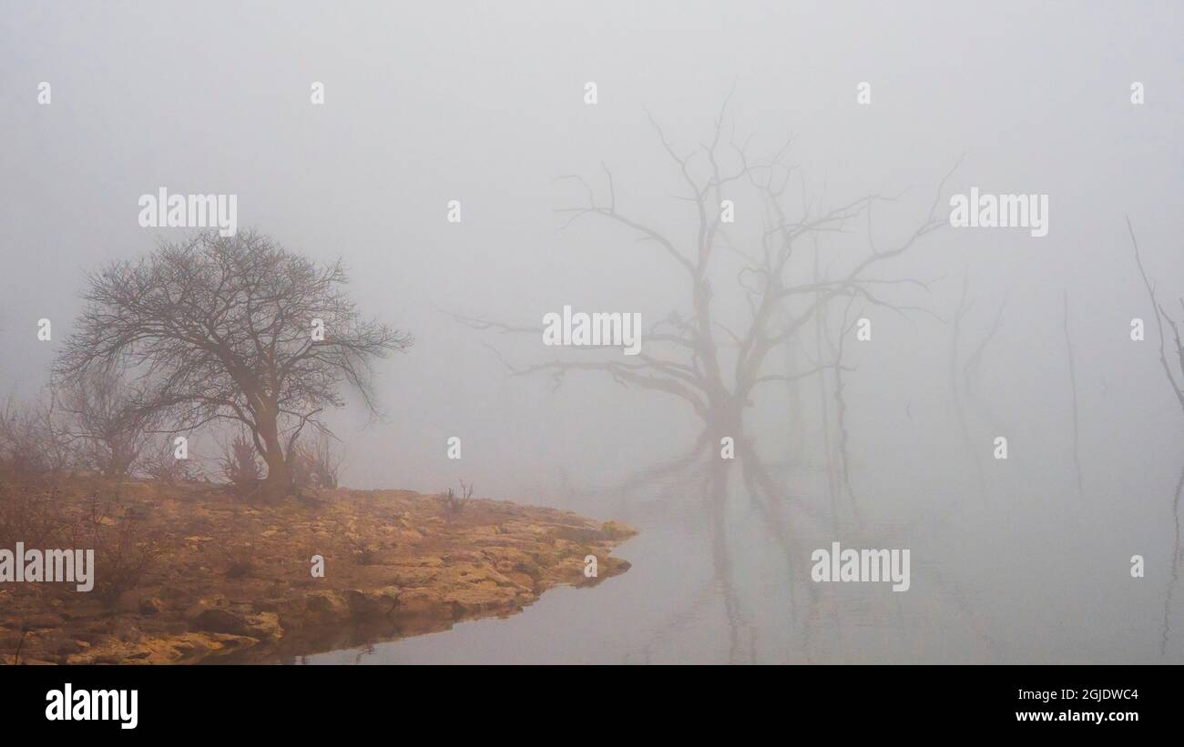 Nebbia al mattino presto sul lago. Foto Stock