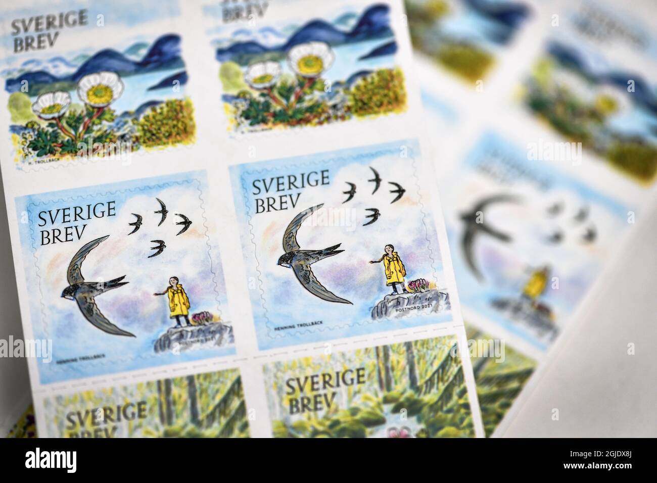 L'attivista ambientale svedese Greta Thunberg appare su un francobollo postale che fa parte di una serie incentrata sull'ambiente, illustrata da Henning Trollback e pubblicata in Svezia il 14 gennaio 2021. Foto Anders Wiklund / TT / code 10040 Foto Stock