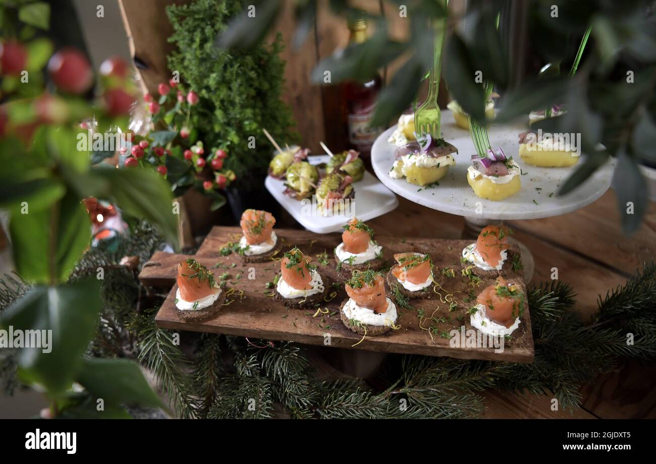 Tartine di salmone, tapas di aringa e germogli di Bruxelles con prosciutto e salame. Foto Janerik Henriksson / TT code 10010 Foto Stock