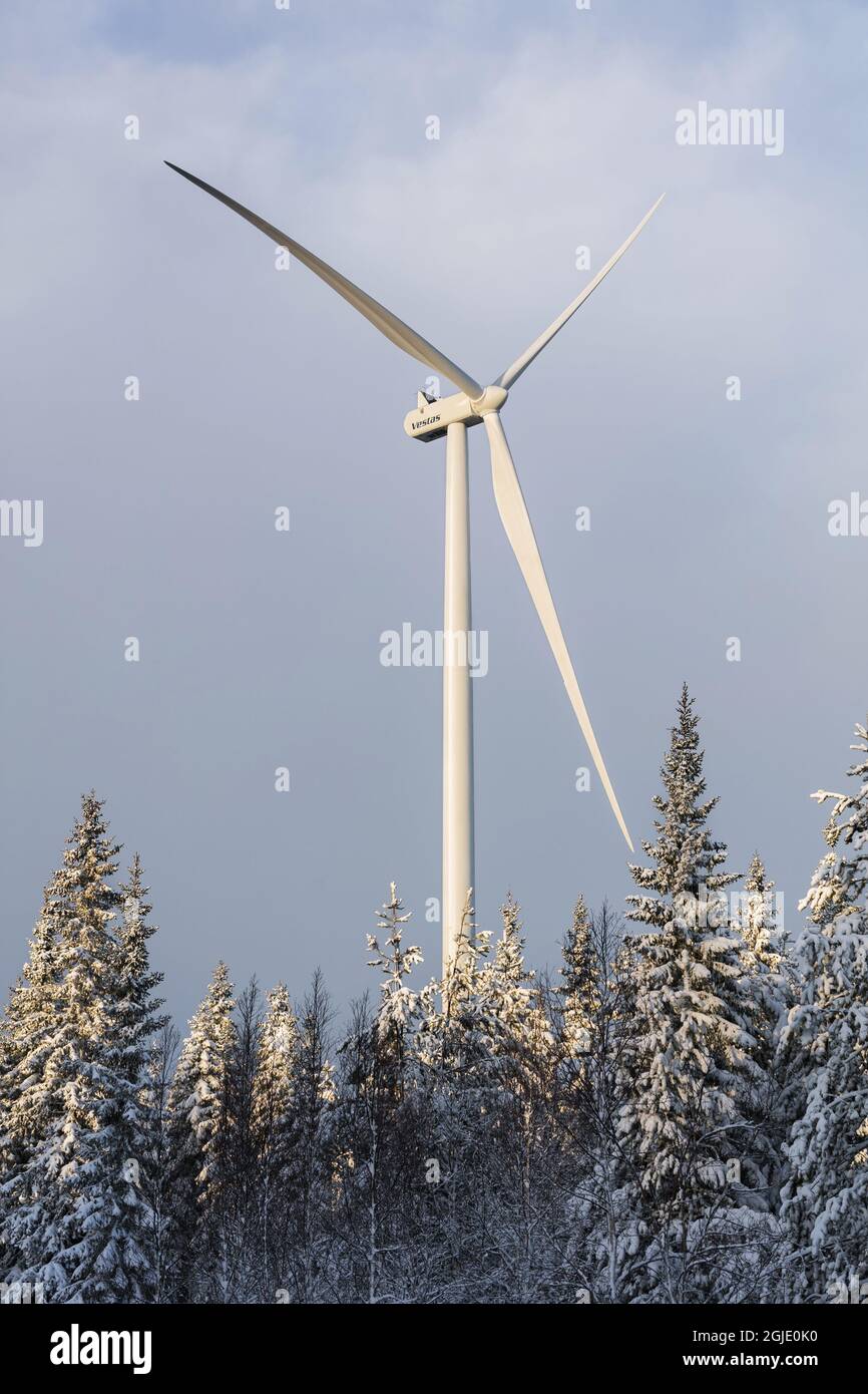 Il parco eolico di Askalen a Jamtland, Svezia. Foto: Johanna Hanno / TT / code 4854 Foto Stock