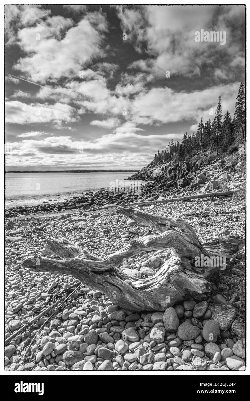 USA, Maine, Mt. Desert Island. Seal Harbour, Cooksey Beach Foto Stock