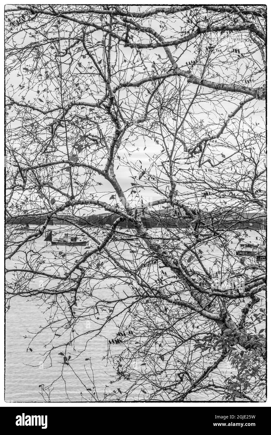 USA, Maine, Stonington. Stonington Harbour in autunno. Foto Stock