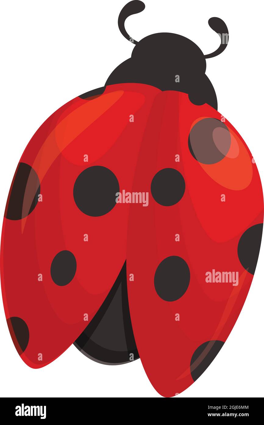 Primavera ladybird icona cartoon vettore. Insetto di Ladybug. Coleottero estivo Illustrazione Vettoriale