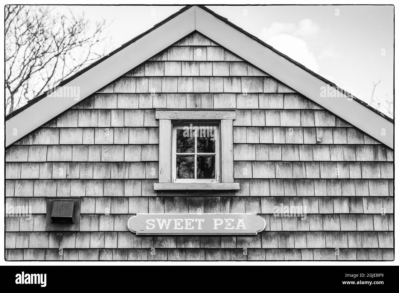 Stati Uniti d'America, New England, Massachusetts, Nantucket Island, Nantucket Town, cottage dettaglio, pisello dolce Foto Stock