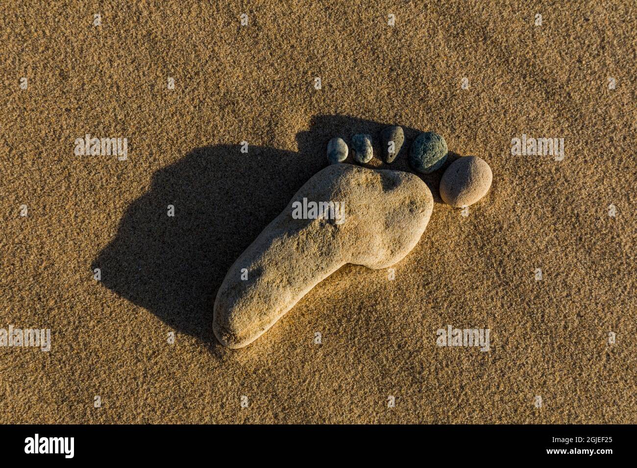 Pietre sulla spiaggia sabbiosa che assomigliano ad un piede umano, Upper Peninsula del Michigan. Foto Stock
