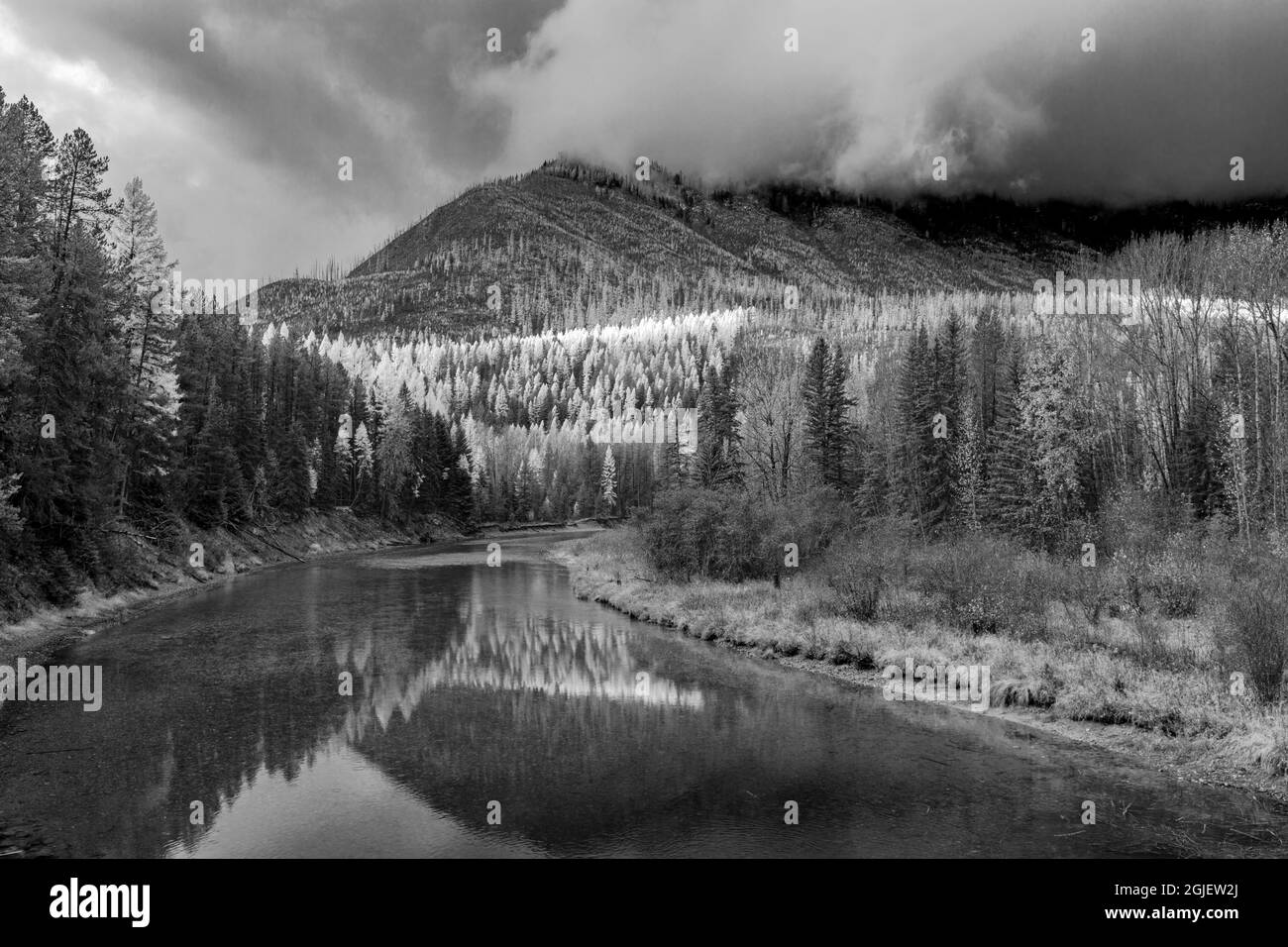 Gli alberi di larice autunnali si riflettono nel McDonald Creek nel Glacier National Park, Montana, USA Foto Stock