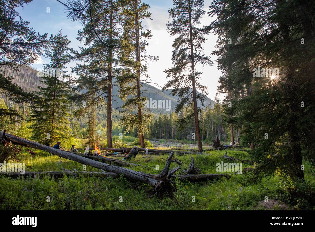 Appeso intorno al fuoco nel Bob Marshall Wilderness, Montana, USA Foto Stock