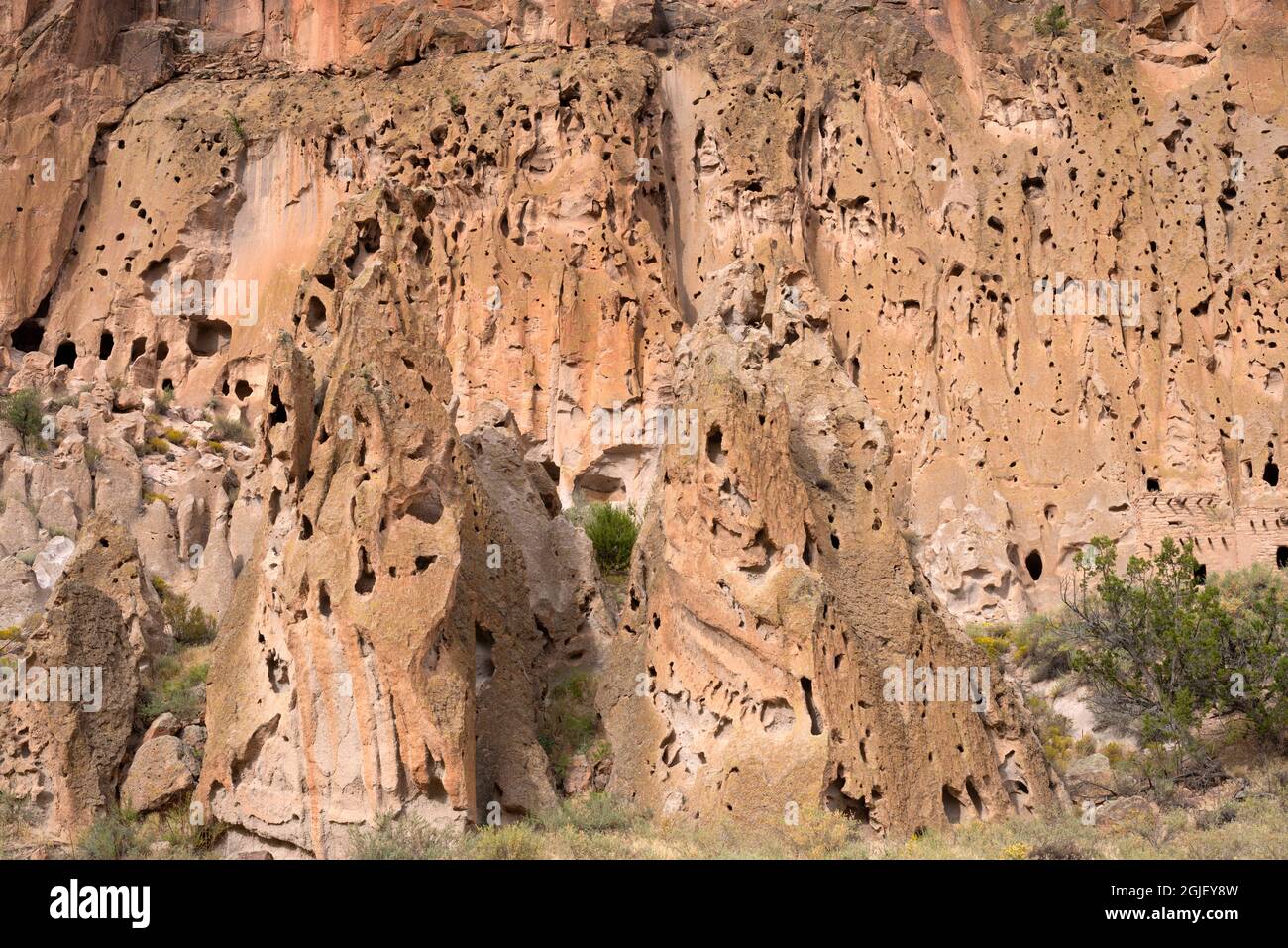 USA, New Mexico. Bandelier National Monument, scogliere di soffice roccia vulcanica erosa con aperture chiamate tufo nel Frijoles Canyon. Foto Stock