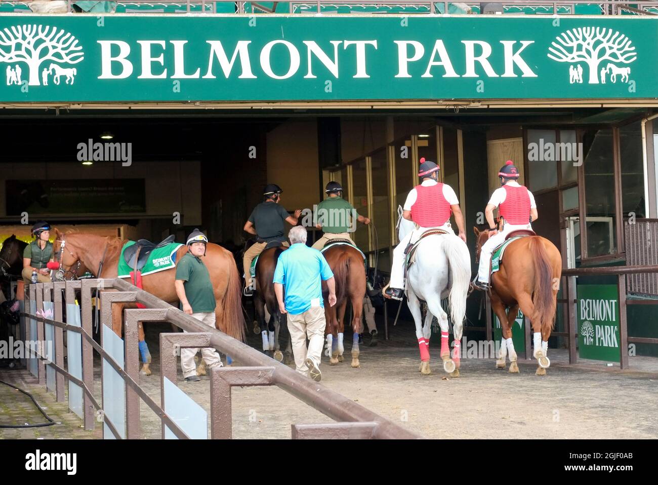 Corse di cavalli a Belmont Park, New York (solo per uso editoriale) Foto Stock