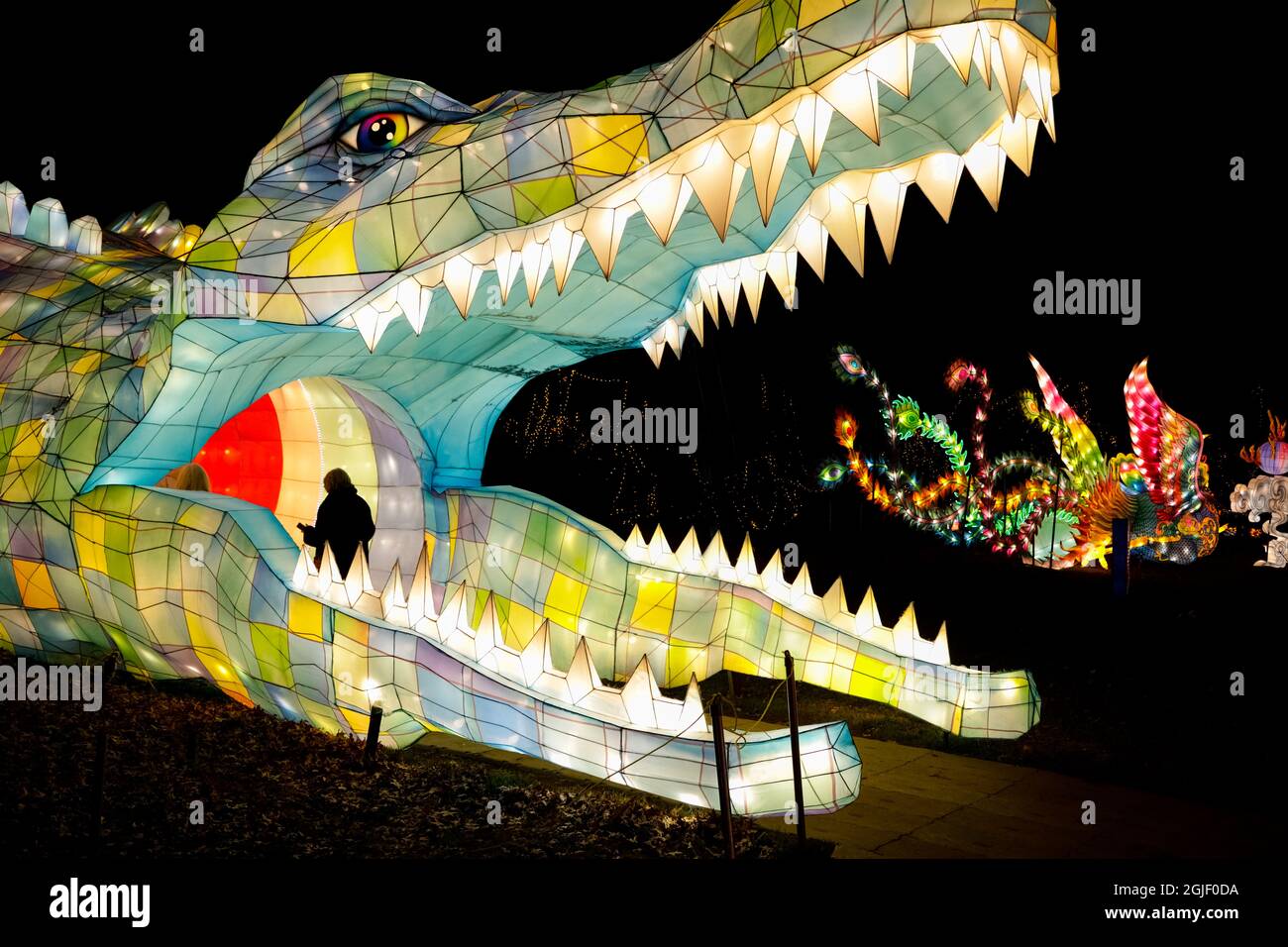 STATI UNITI, New York, Staten Island. Festival delle Lanterne Cinesi. Enorme testa di alligatore Foto Stock