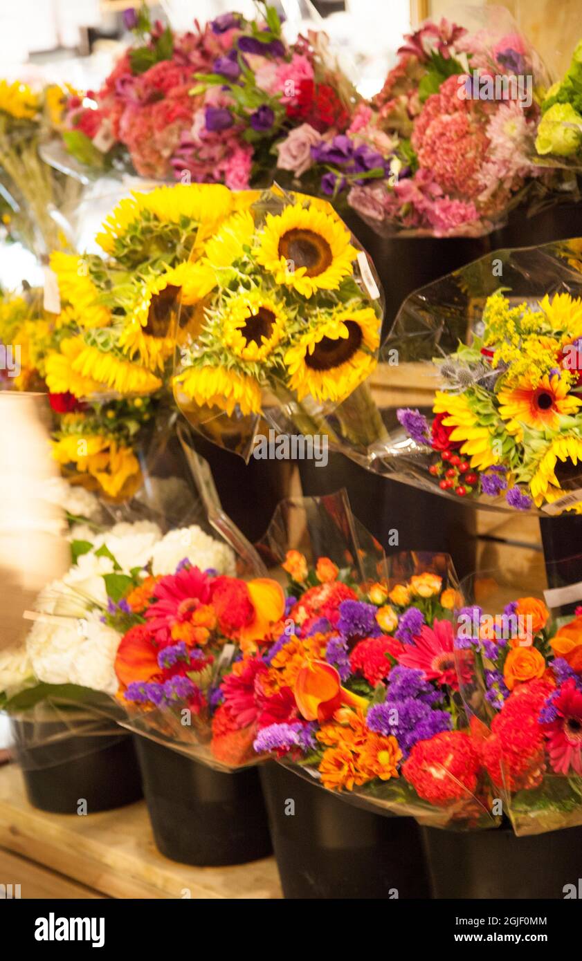 Eataly mercato alimentare italiano e mercato a Manhattan, New York. Foto Stock