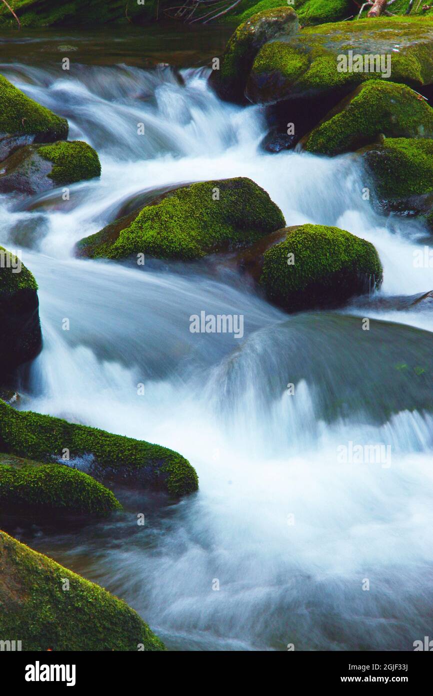 Acqua che cade su Boulders su Roaring Fork Motor Nature Trail Foto Stock