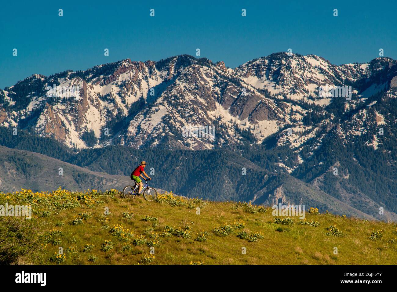 Solo mountain bike maschile in primavera, Wasatch Mountain Foothills vicino a Salt Lake City, Utah, Stati Uniti. (SIG.) Foto Stock