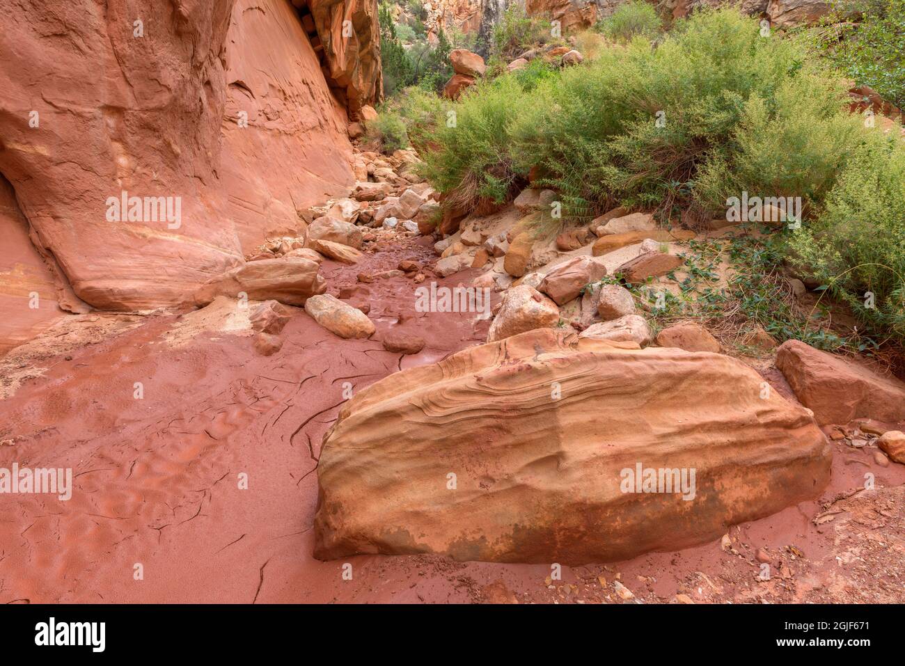 USA, Utah, Capitol Reef National Park, fango e rocce essiccati sul pavimento di Grand Wash e ripide pareti di arenaria. Foto Stock