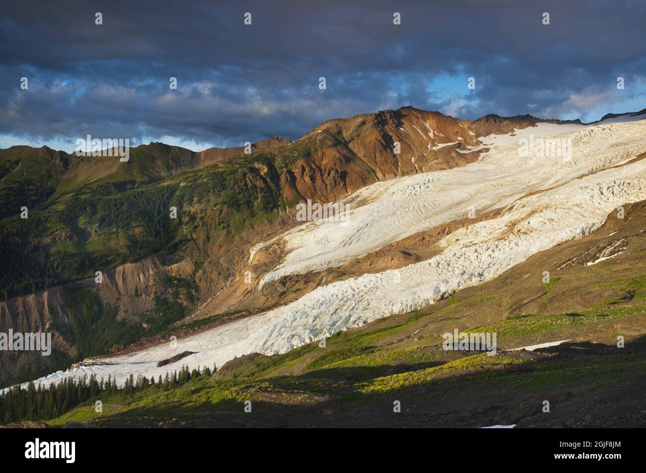Stati Uniti, stato di Washington. Bastille Ridge e Coleman Glacier dai prati di Heliotrope Ridge, Mount Baker Wilderness, North Cascades. Foto Stock