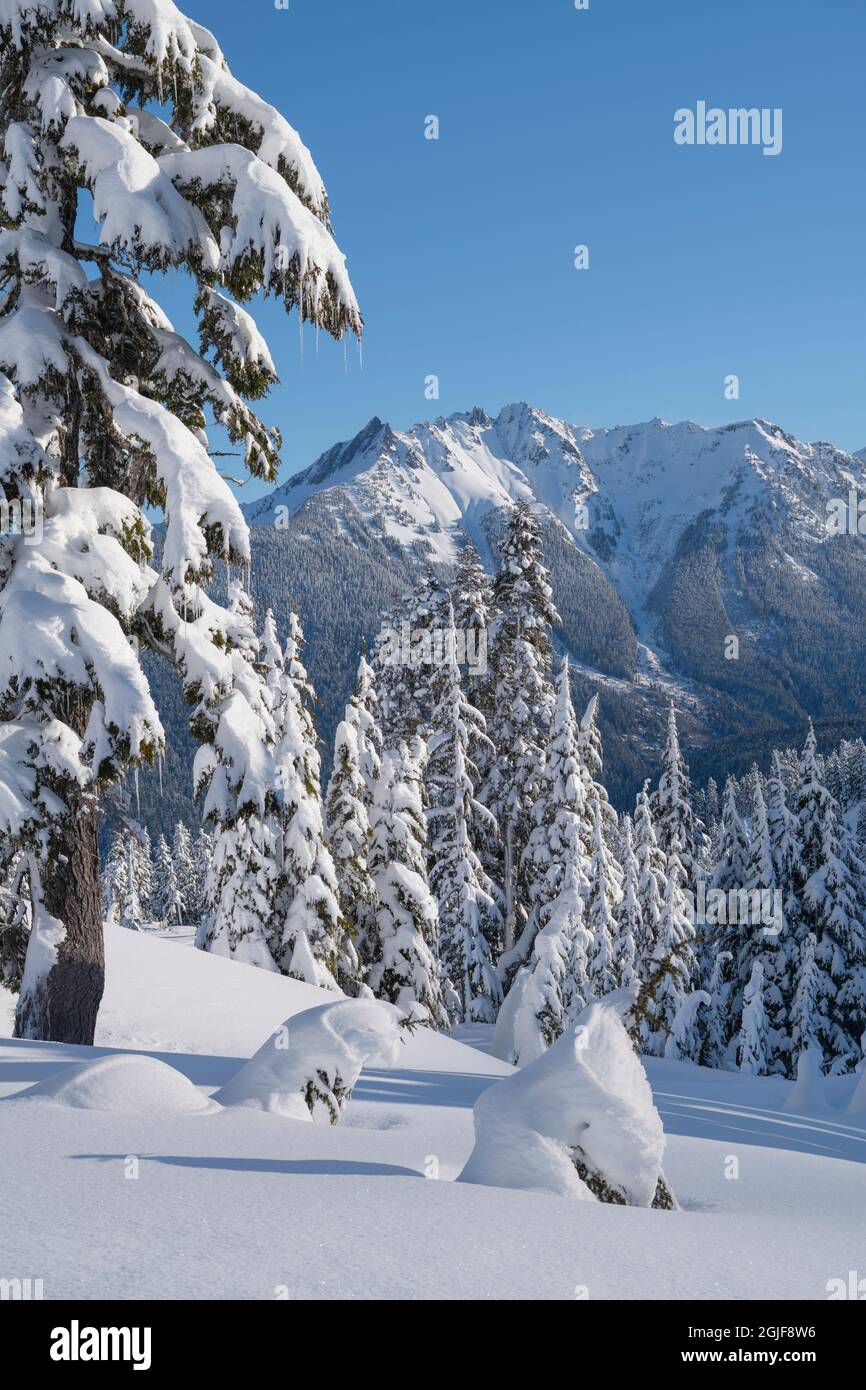 Nooksack Ridge in inverno visto dalla zona ricreativa di Heather Meadows, North Cascades, Washington state Foto Stock