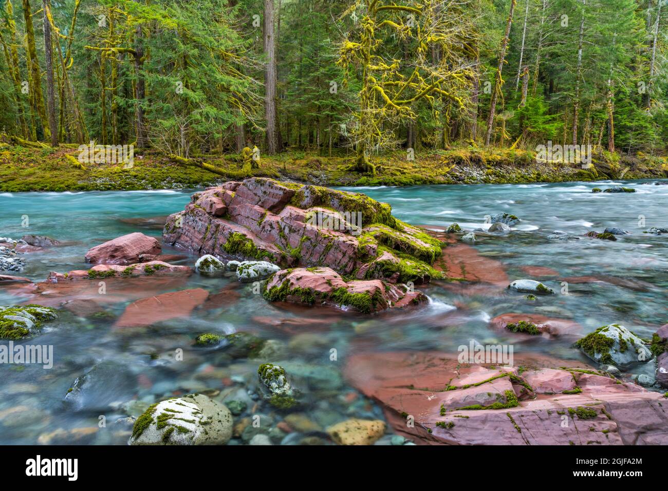 Stati Uniti, Washington state, Olympic National Park. Panoramica del fiume Skokomish e della foresta. Foto Stock