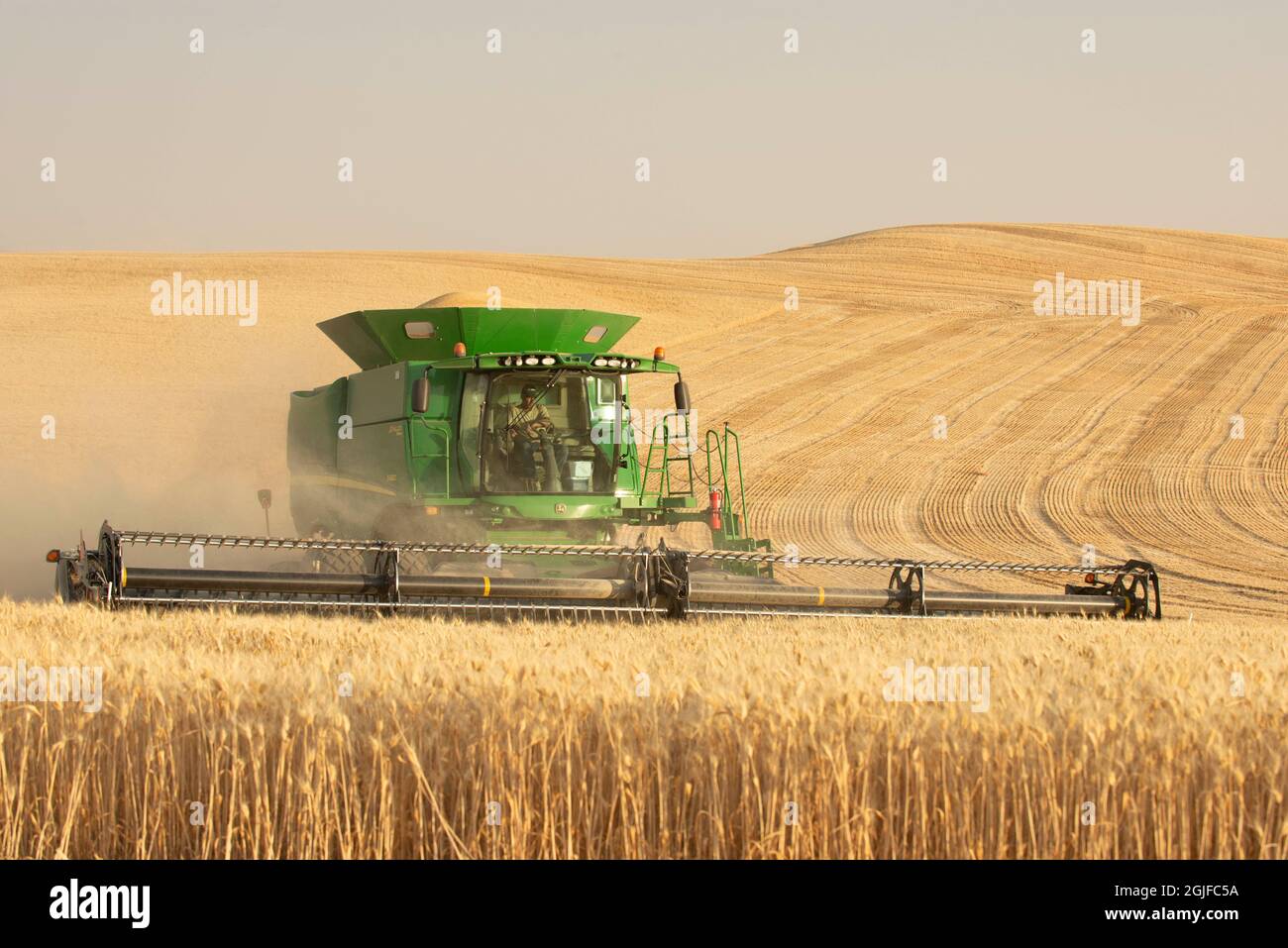 Mietitrebbia per la raccolta del grano a Palouse, Spokane County, Washington state. (PR) Foto Stock