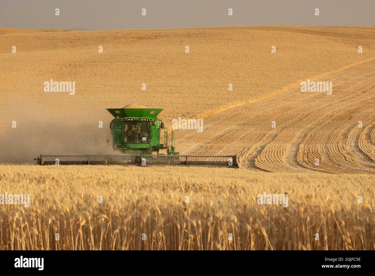 Mietitrebbia per la raccolta del grano a Palouse, Spokane County, Washington state. (PR) Foto Stock