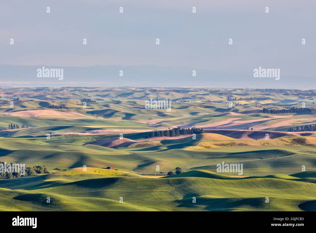 Stati Uniti, Washington state, Palouse. Vista da Steptoe Butte. Foto Stock