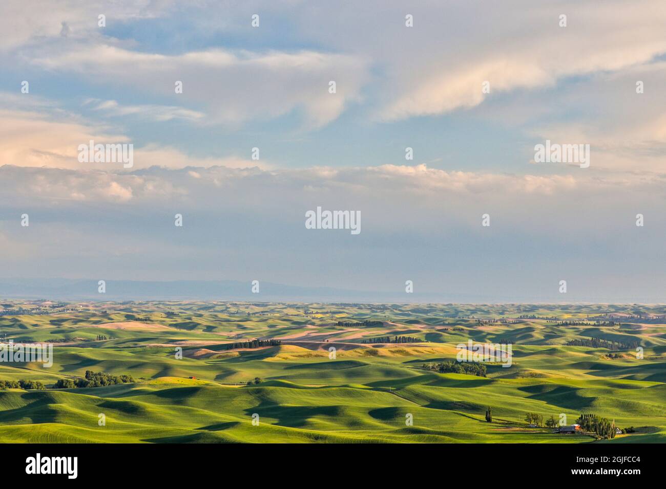 Stati Uniti, Washington state, Palouse. Vista da Steptoe Butte. Foto Stock