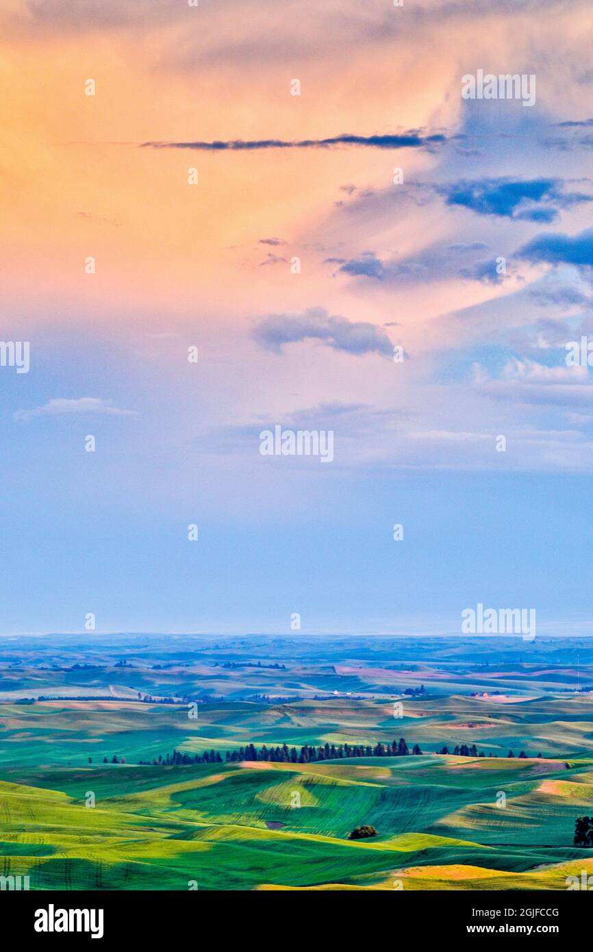 Stati Uniti, Washington state, Palouse. Vista da Steptoe Butte. Foto Stock