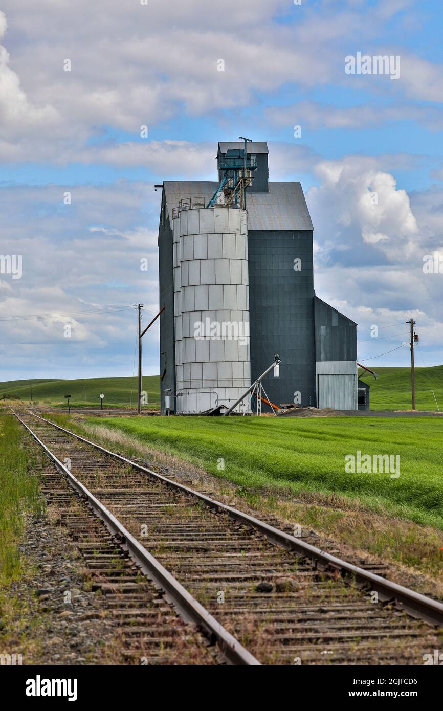 Stati Uniti, Washington state, Palouse. Un silo in Pullman. Foto Stock