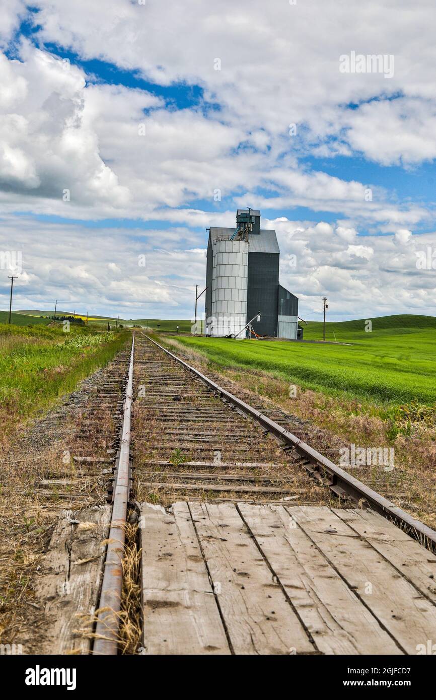 Stati Uniti, Washington state, Palouse. Un silo in Pullman. Foto Stock