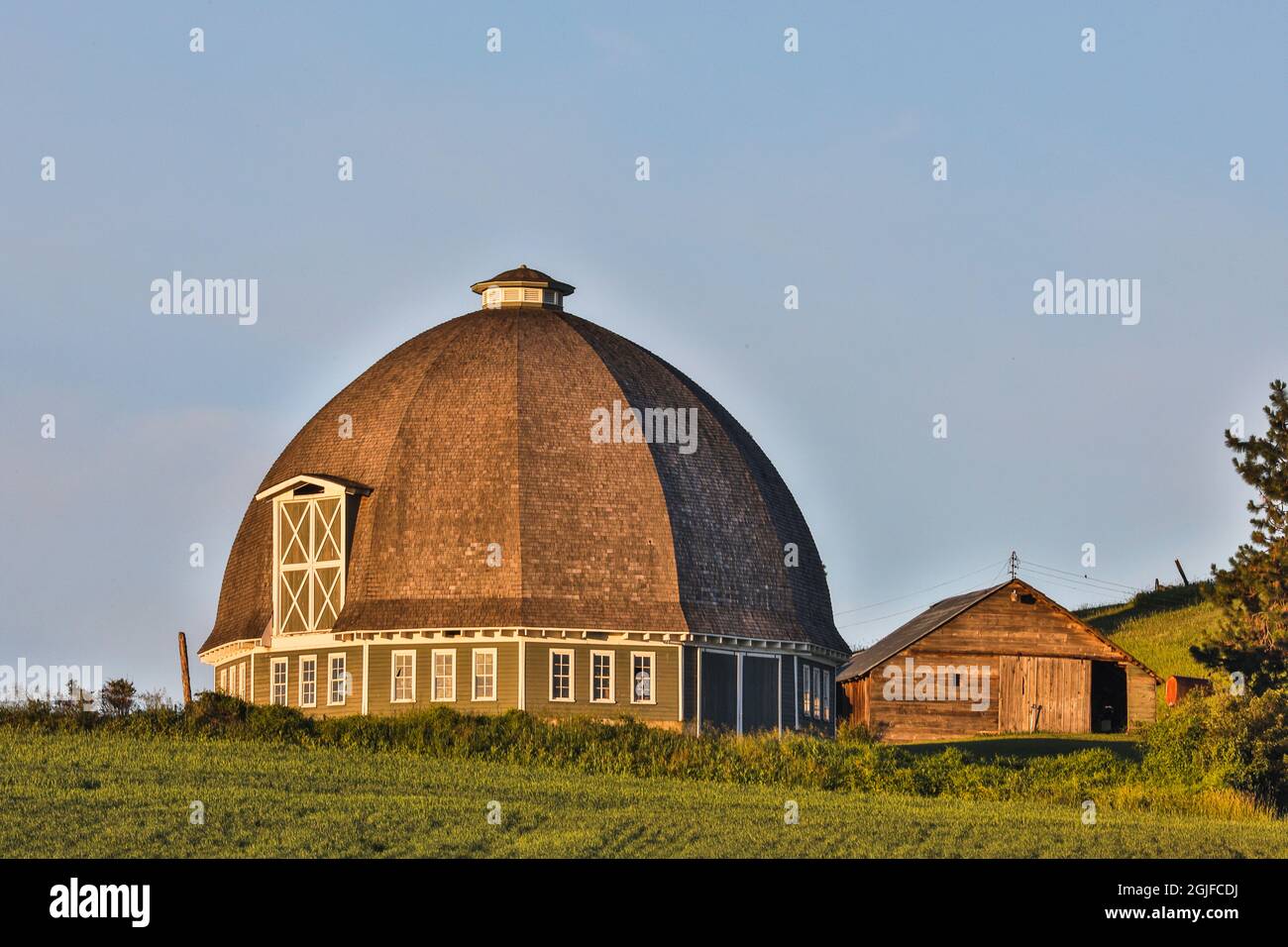 Stati Uniti, Washington state, Palouse. Granaio nella città di Pullman. Foto Stock