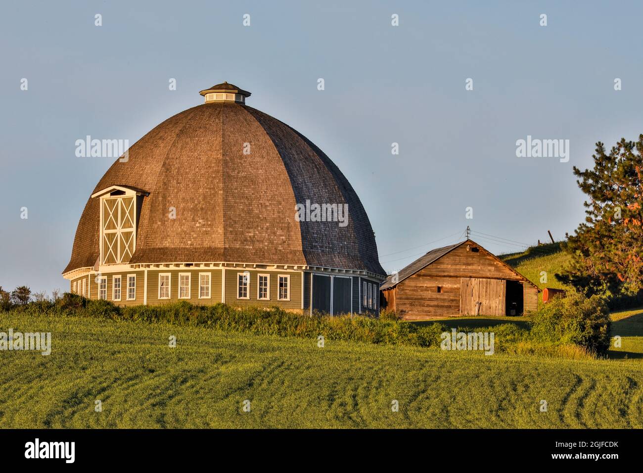 Stati Uniti, Washington state, Palouse. Granaio nella città di Pullman. Foto Stock
