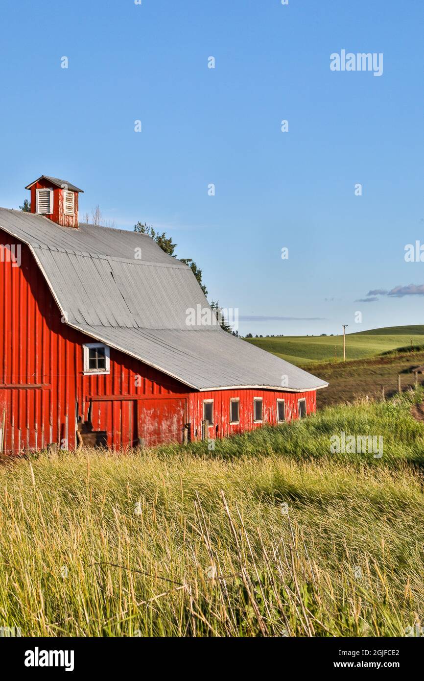 Stati Uniti, Washington state, Palouse. Granaio rosso a Oakesdale. Foto Stock