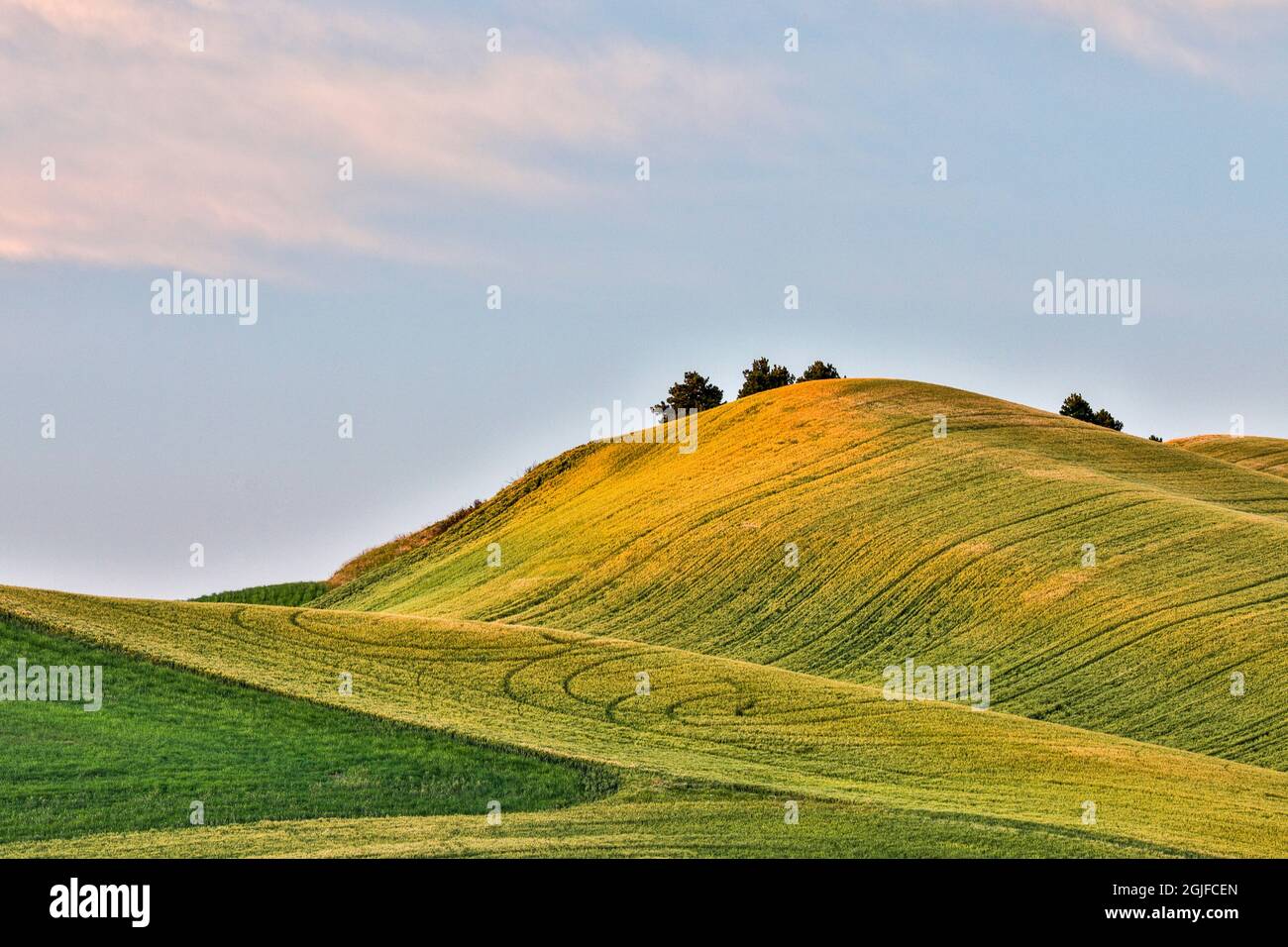 Stati Uniti, Washington state, Palouse. Colline ondulate a Colfax al tramonto. Foto Stock