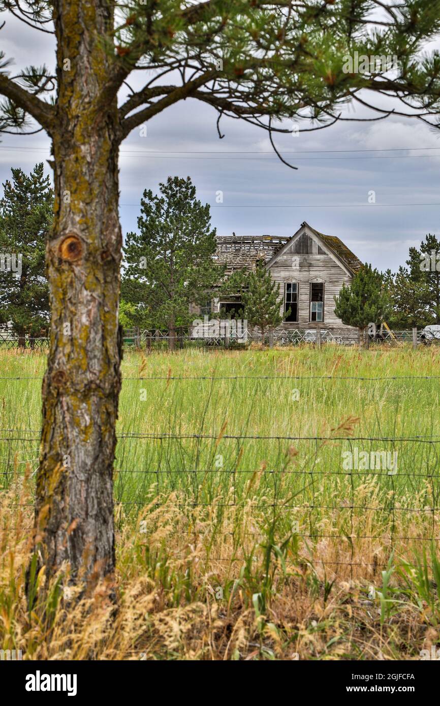 USA, Washington state, Palouse. Casa abbandonata a Endicott. Foto Stock
