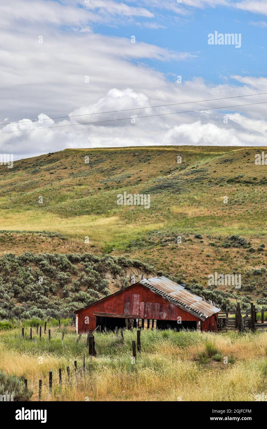 Stati Uniti, Washington state, Palouse. Fienile abbandonato a Washtucna. Foto Stock