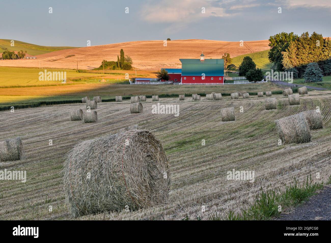 Stati Uniti, Washington state, Palouse. Colline ondulate a Colfax al tramonto. Foto Stock