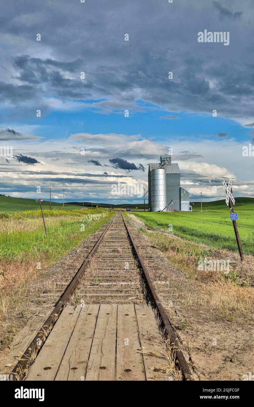 Stati Uniti, Washington state, Palouse. Nuvole di tempesta che avanzano su Pullman. Foto Stock