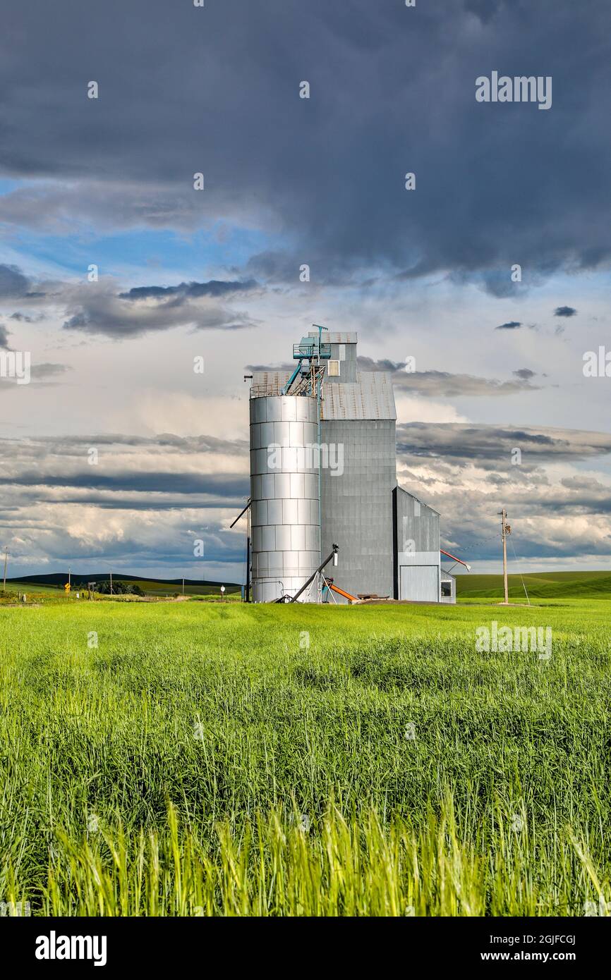 Stati Uniti, Washington state, Palouse. Nuvole di tempesta che avanzano su Pullman. Foto Stock