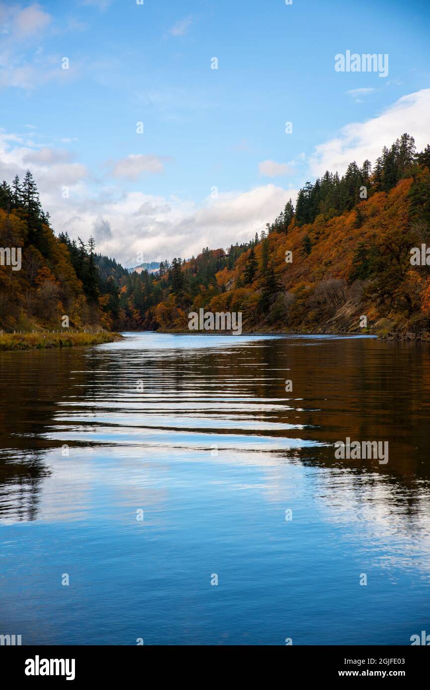 Stati Uniti, Washington state, salmone bianco. White Salmon River in autunno. Foto Stock