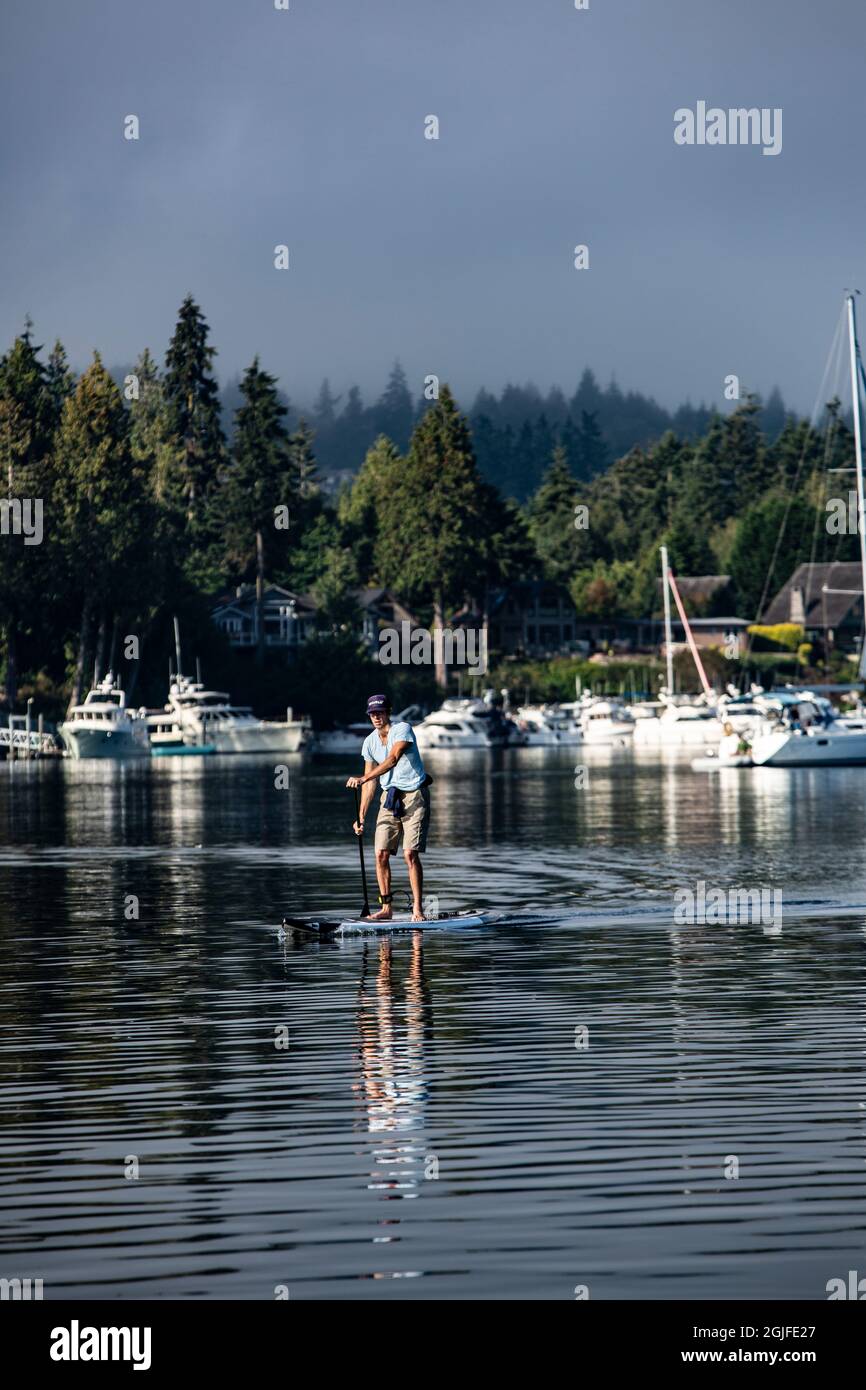 Port Ludlow, Hood Canal, Washington state. Paddleboarder su Hood Canal. Foto Stock
