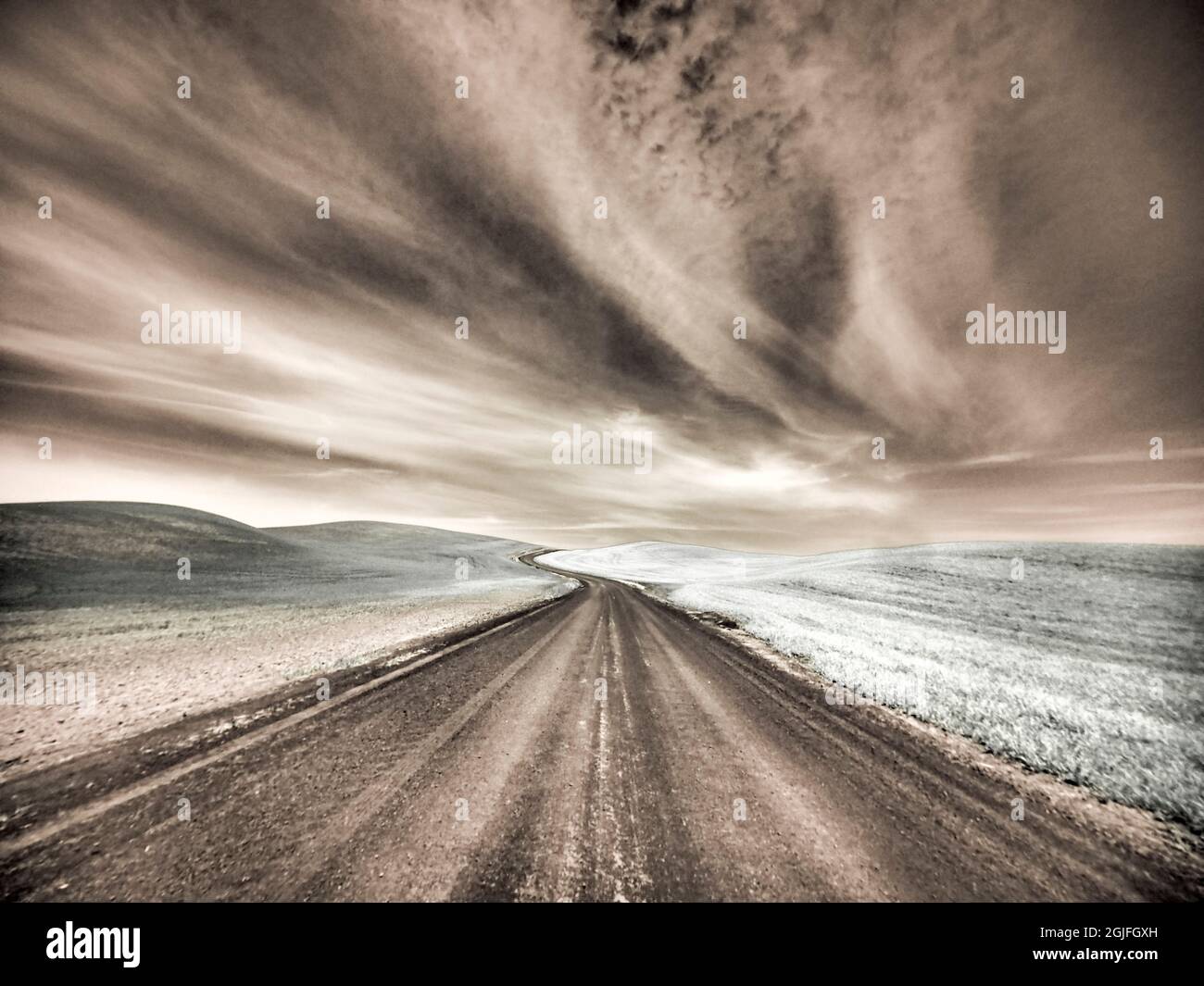 Stati Uniti, Washington state, Palouse. Immagine infrarossa della campagna. Foto Stock