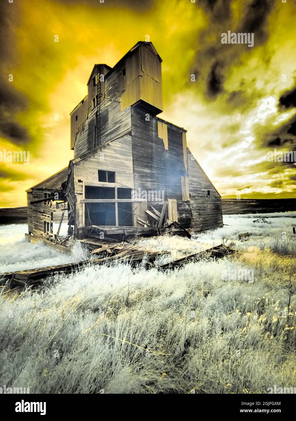 Stati Uniti, stato di Washington. Immagine infrarossa di vecchio silo di legno. Foto Stock