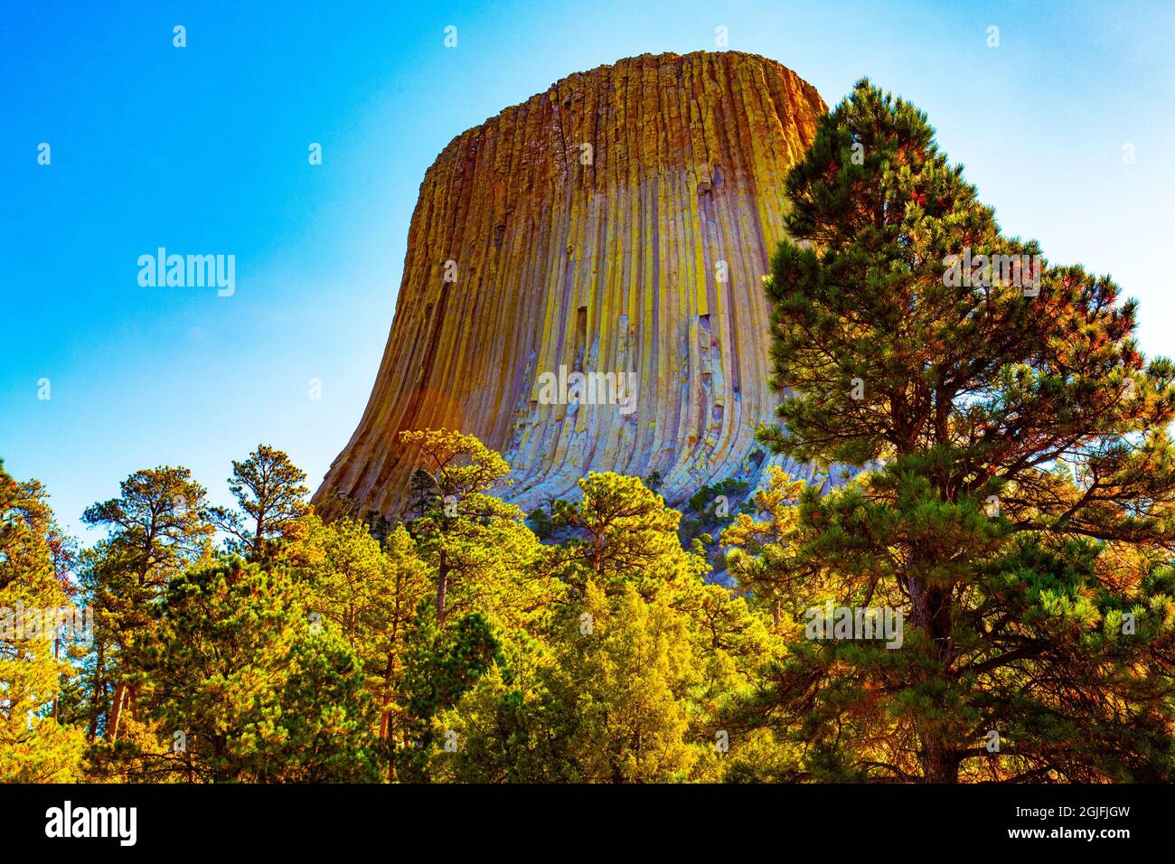 USA, Wyoming, Sundance, Devil's Tower National Monument, Devil's Tower Foto Stock