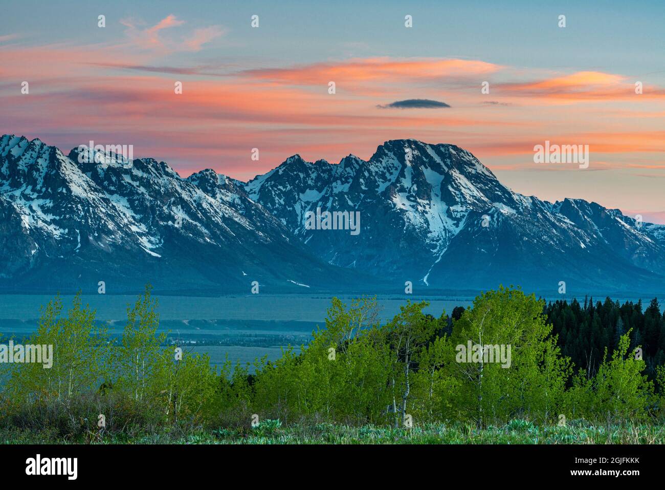 Grand Teton National Park, vista sull'alba del Monte Moran e della primavera aspens, Wyoming Foto Stock