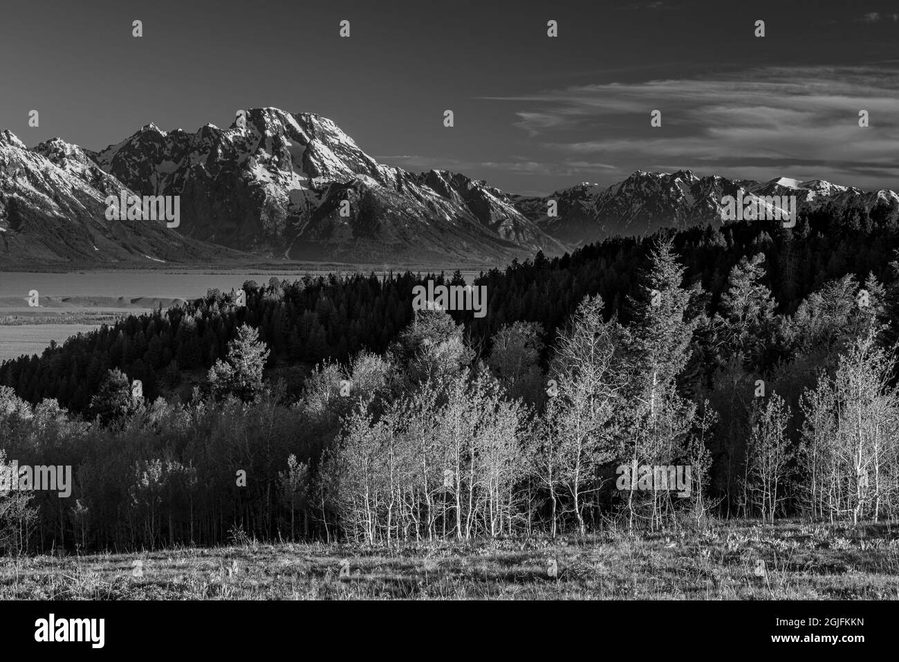 Grand Teton National Park, bianco e nero di Mount Moran e Aspen Trees, Wyoming Foto Stock