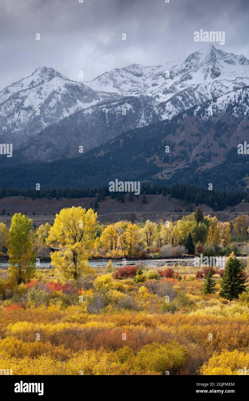 USA, Wyoming. Variopinto fogliame autunnale e Snake River, Grand Teton National Park. Foto Stock