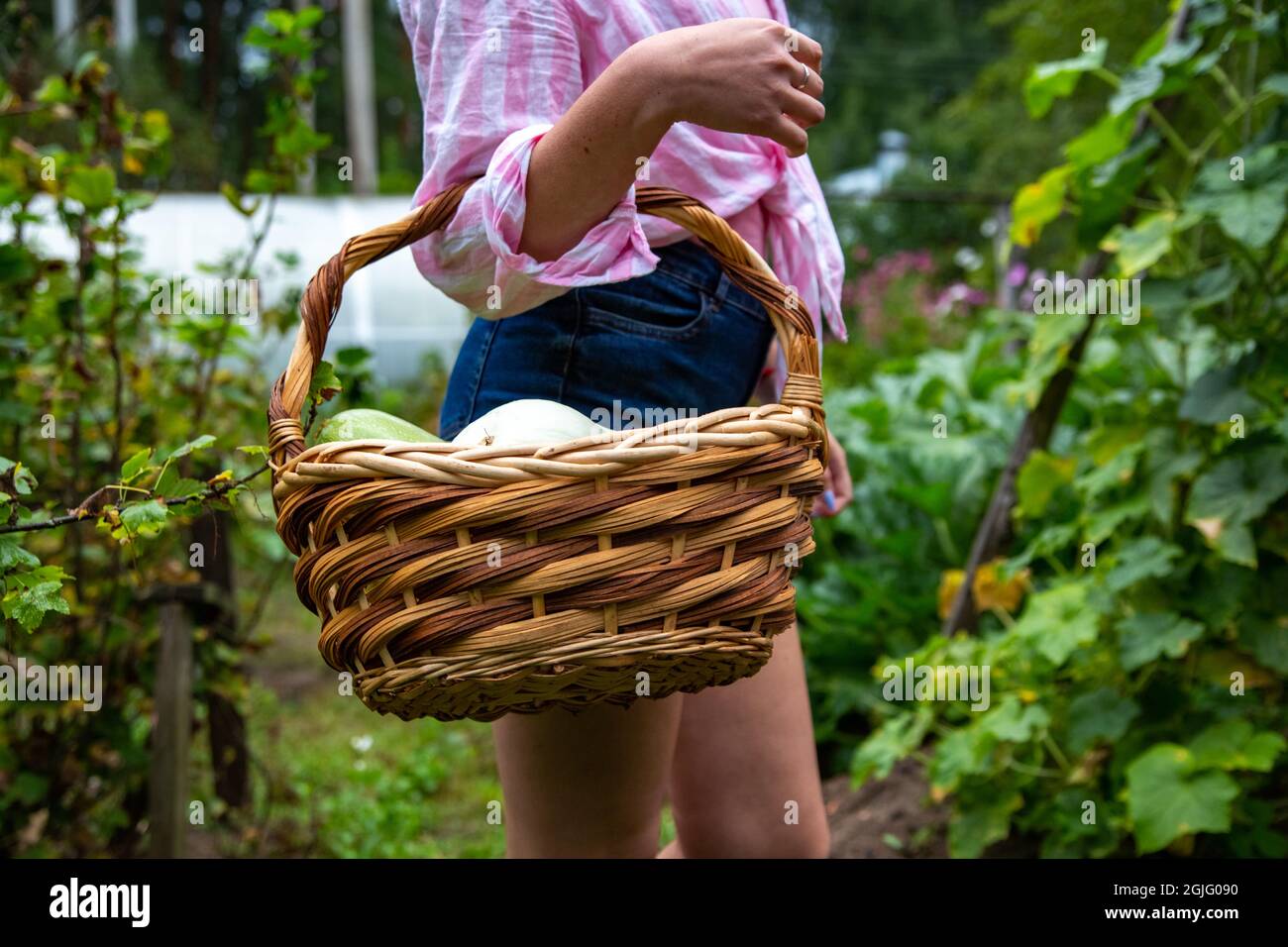 Donna con cesto di verdure. Senza viso Foto Stock
