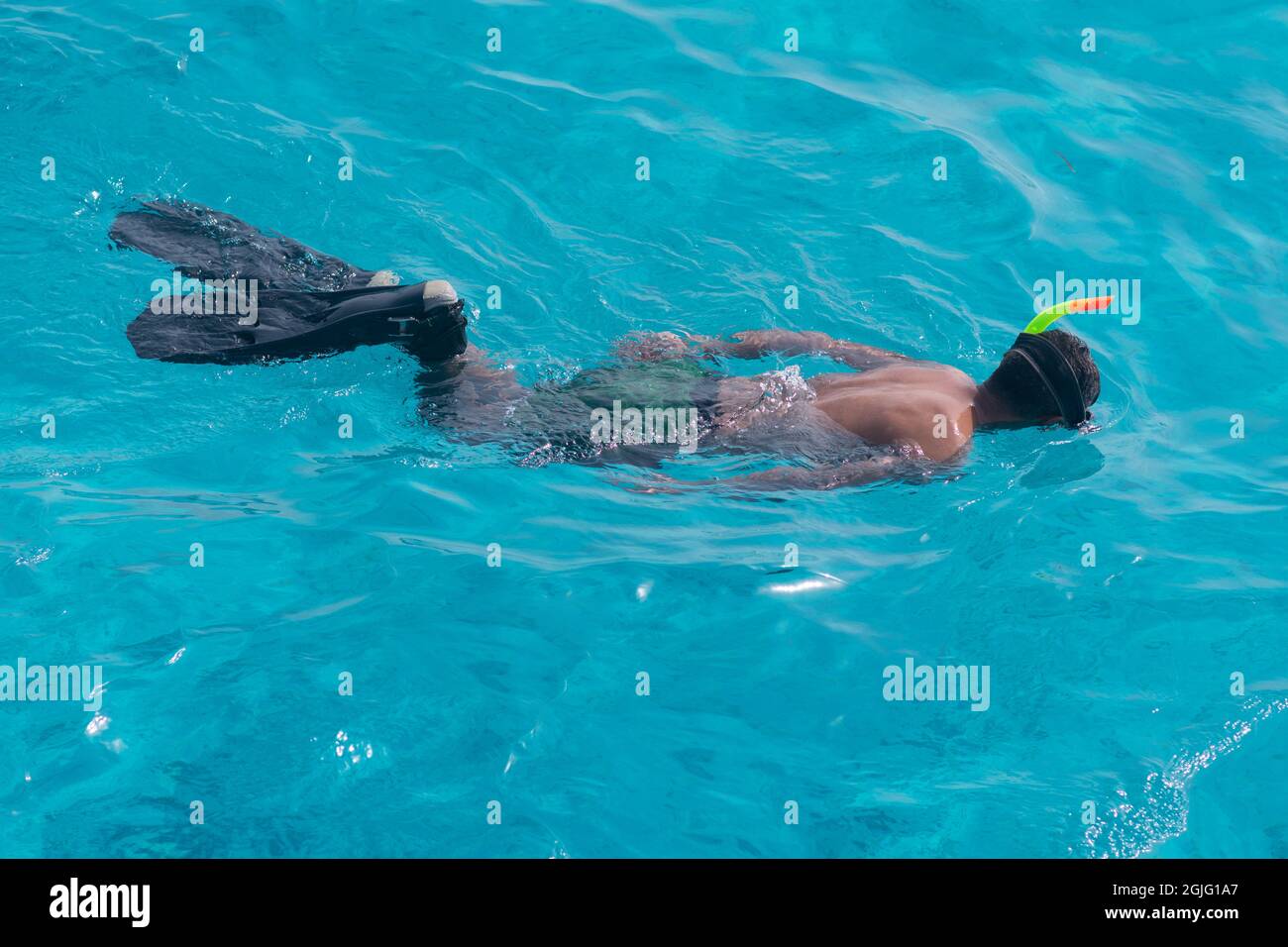 Un turista maschio nuota in una maschera e pinne sul mare Foto Stock