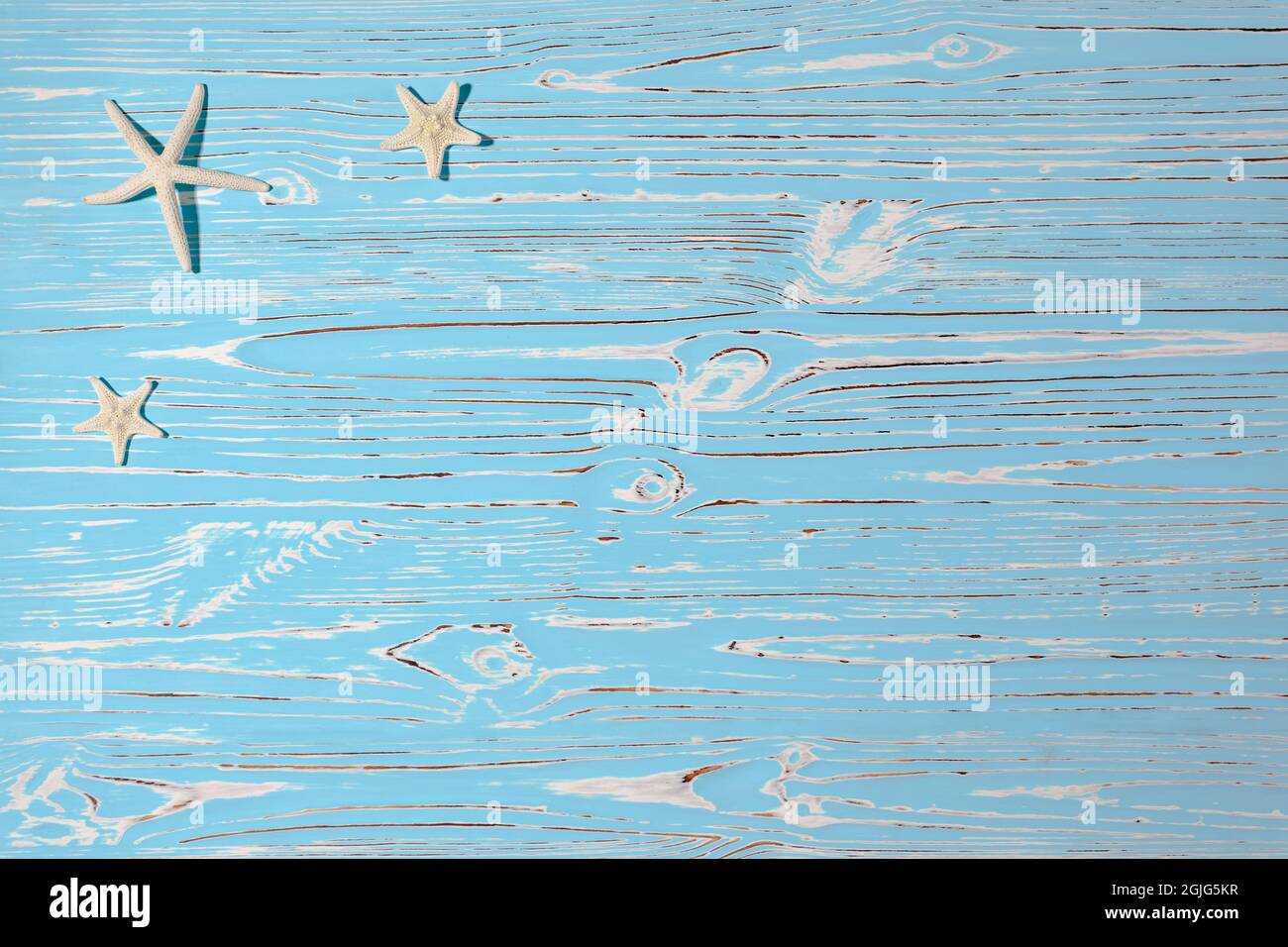 Conchiglie di stelle marine su sfondo blu di legno Foto Stock