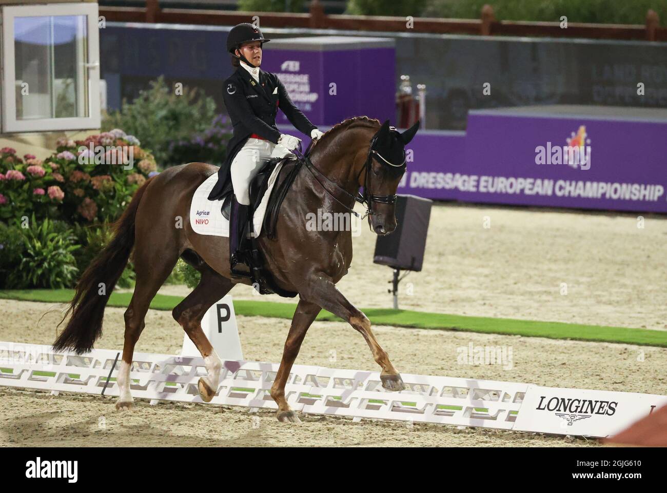 Hagen A. Win, Germania. 9 settembre 2021. Sport equestre: Campionato europeo, Dressage. Il pilota di dressage Cathrine Dufour (Gran Bretagna) corre Bohemian. Credit: Friso Gentsch/dpa/Alamy Live News Foto Stock