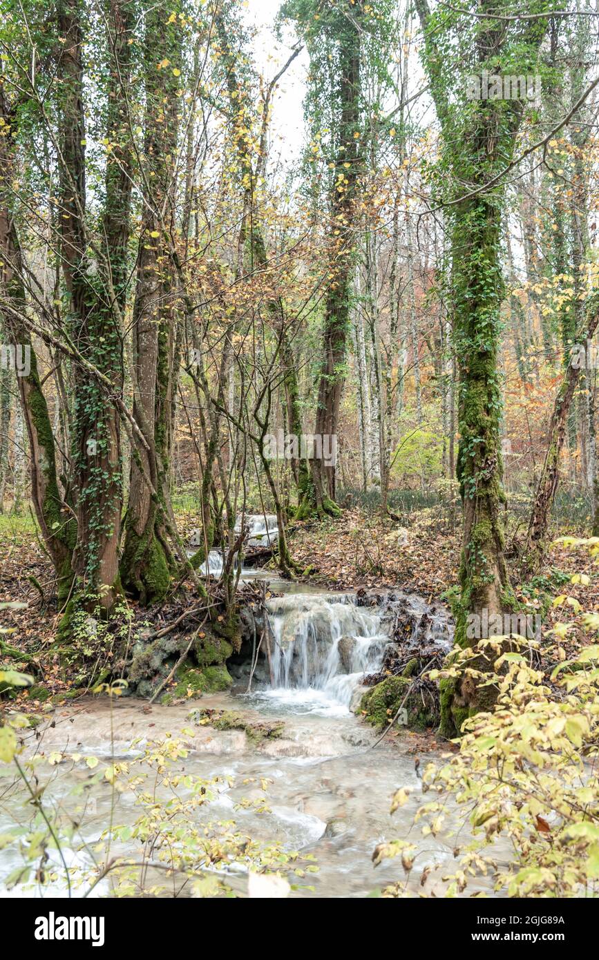 Paesaggio verticale foto di un torrente che scorre lungo le pietre circondato da alberi decidui in autunno Foto Stock
